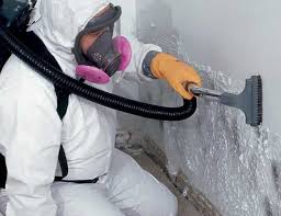 Best Mold Damage Restoration  in Alpharetta, GA